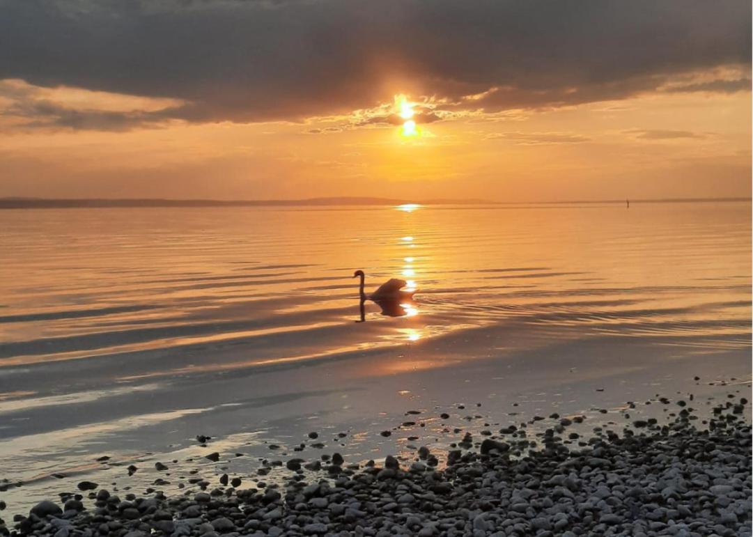 Ferienwohnung Morgensonne Лангенарген Екстер'єр фото